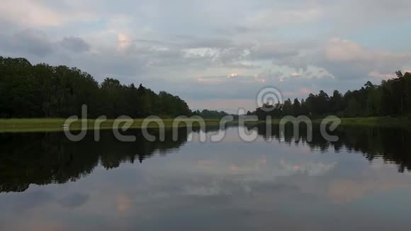 在平静的夏夜欣赏绚丽的日落湖岸上有绿树和植物晶莹剔透的镜面水苏视频的预览图