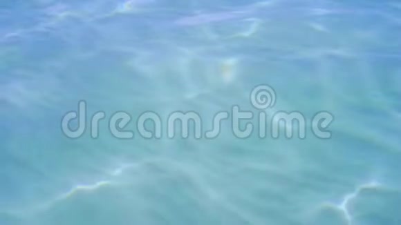 纯蓝色的海水在太平洋上有光反射慢动作视频的预览图