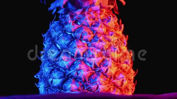红色和蓝色背景的菠萝在黑色背景上旋转视频的预览图