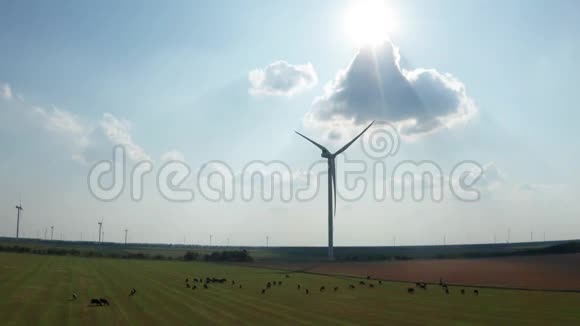 在农场的农田里用无人机射击风力发电机视频的预览图