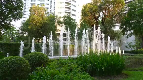 近现代安全套公寓的喷泉和热带植物级联视频的预览图