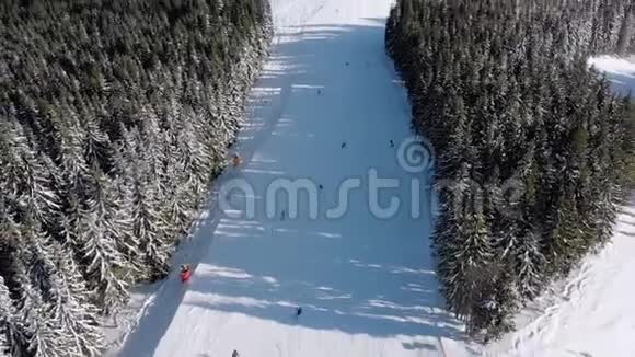 滑雪场上有滑雪者和滑雪升降机的空中滑雪斜坡雪山森林视频的预览图