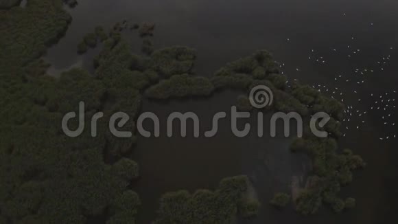黄昏无人机飞越漫滩飞向海岸视频的预览图