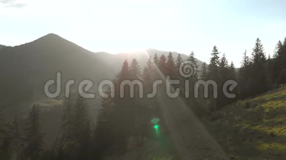 山上风景区的阳光景色视频的预览图