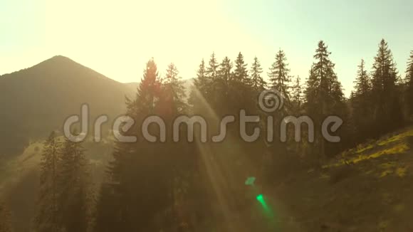 夏天的阳光照在山上视频的预览图