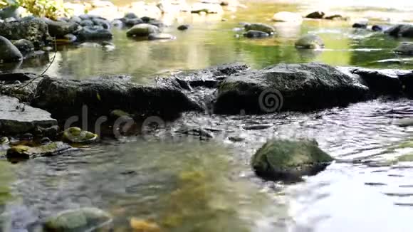 城市里的泉水在岩石间流淌德国弗莱堡慢动作视频的预览图