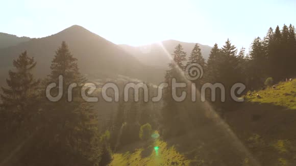 山的美丽夏季景观视频的预览图