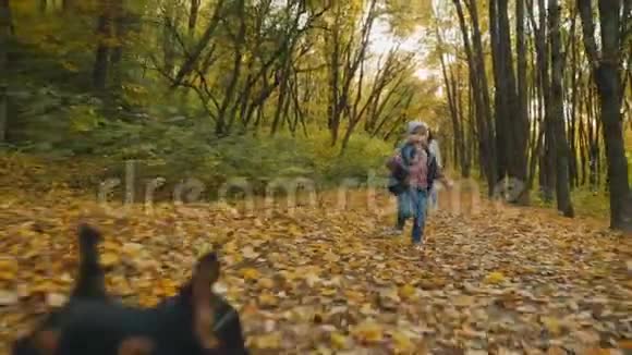 小男孩和他可爱的狗在秋天的森林里奔跑视频的预览图