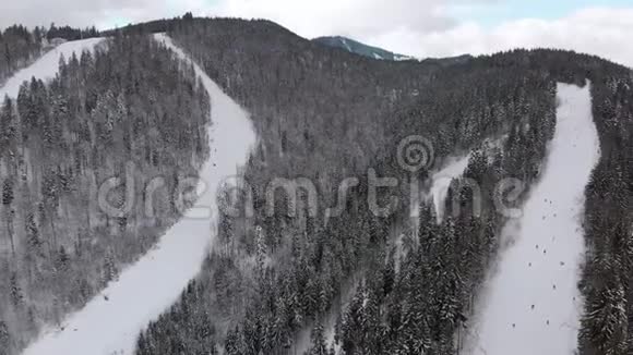 滑雪场上有滑雪者的空中滑雪坡雪山杉林Bukvel视频的预览图