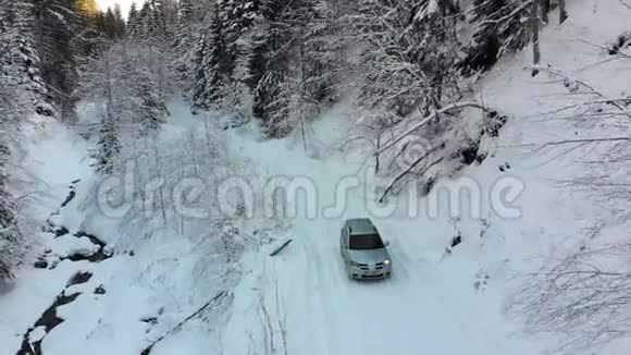 冬季针叶林雪地公路汽车鸟瞰图视频的预览图