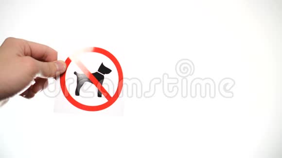 手显示警告标志没有狗隔离在白色视频的预览图