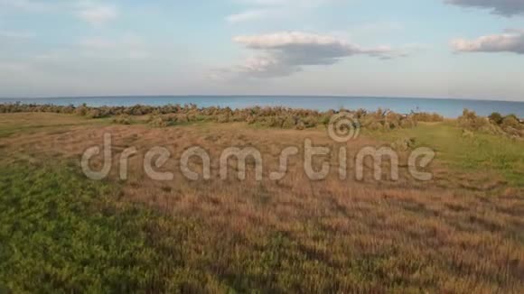 无人机飞越阿佐夫海岸草原视频的预览图
