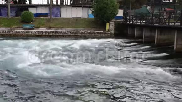 CrnDrim河从奥赫里德湖的水中流过视频的预览图