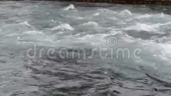CrnDrim河从奥赫里德湖的水中流过视频的预览图
