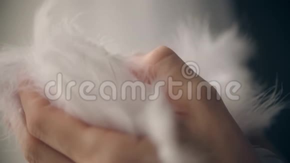 女人手里吹着白色的羽毛动作缓慢视频的预览图