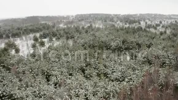 空中视频一架四架飞机飞过一片覆盖着白雪的森林森林里有各种各样的树木视频的预览图
