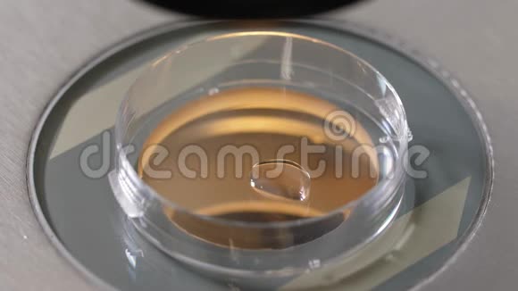 胚胎学家在培养皿中放置冷冻保护剂视频的预览图