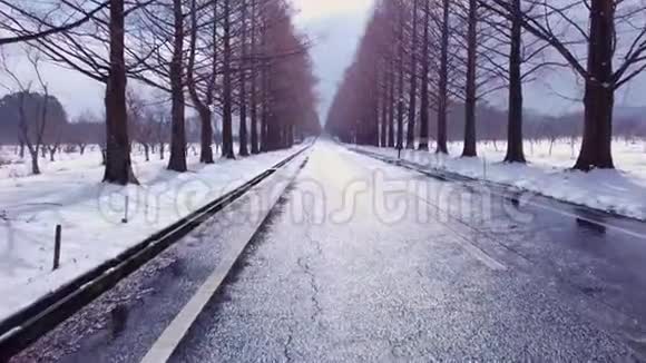 雪水杉Namiki雪花飘落时沿路漫步视频的预览图