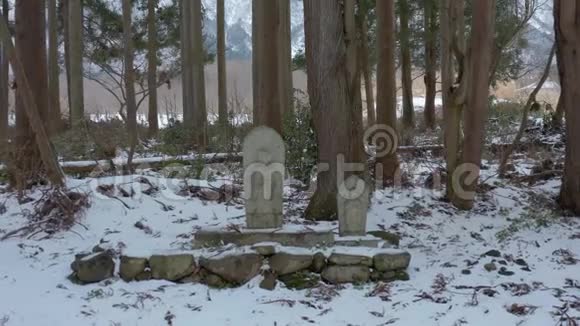 日本森林中的雪和小吉佐卫队的小神社视频的预览图