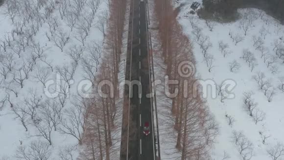 日本志贺水杉南木路鸟瞰图汽车在暴风雪中行驶视频的预览图