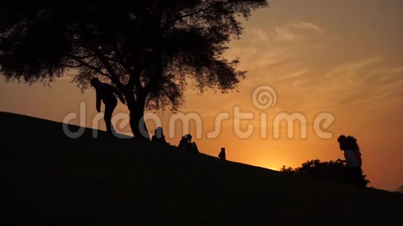 孩子们在山上玩耍的剪影在日落时整齐的大树在缓慢地移动视频的预览图