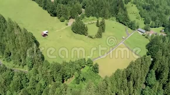 山野风景德国高山村视频的预览图