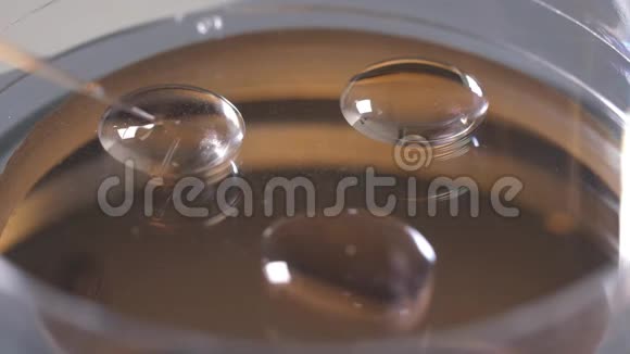 将胚胎置于低温保护滴剂中的过程视频的预览图