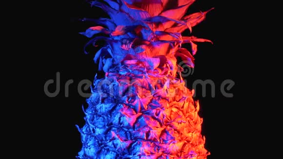 红色和蓝色背景的菠萝在黑色背景上旋转视频的预览图