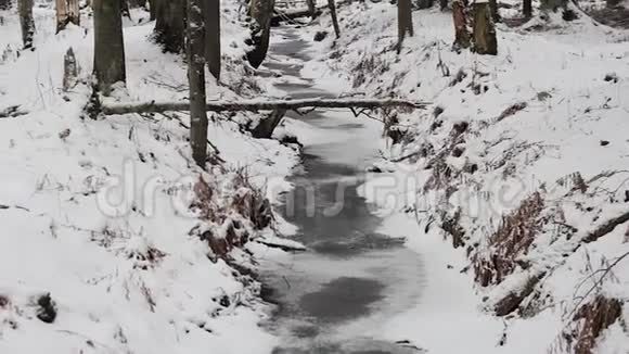 冬天的森林溪流干净的冰水视频的预览图