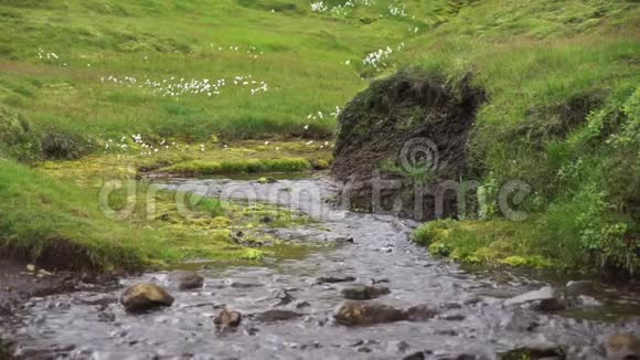 在冰岛的Fimvorduhals登山步道上小溪流带着绿色的草地慢动作视频的预览图