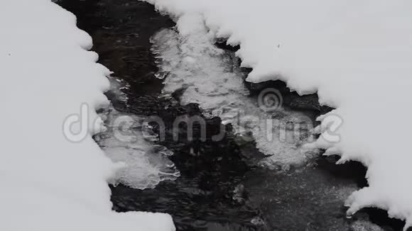 冬天的森林溪流干净的冰水视频的预览图