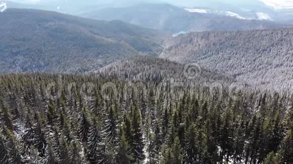 飞越雪域喀尔巴阡山顶部的雪云杉森林视频的预览图