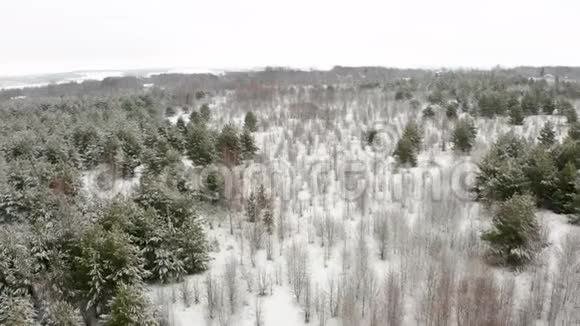 空中录像一架四架飞机飞过一片覆盖着白雪的森林视频的预览图