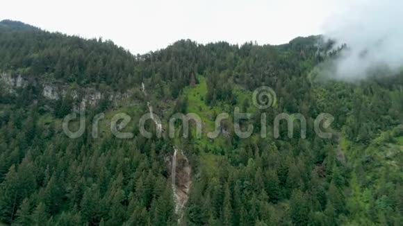 德国阿尔卑斯山脉与蒸汽森林的高山瀑布景观视频的预览图