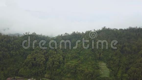 山区热带森林的空中拍摄视频的预览图