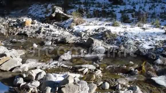 电影慢动作视频在罗马尼亚阿尔吉斯的一条河中投掷石块视频的预览图
