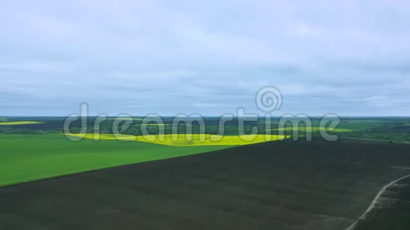 朵朵黄田农田空中观景种植小麦或粮食作物的绿田和油菜地开花视频的预览图