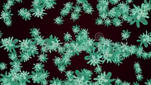 显微镜下的微生物和细菌冠状病毒的概念阿尔法频道视频的预览图