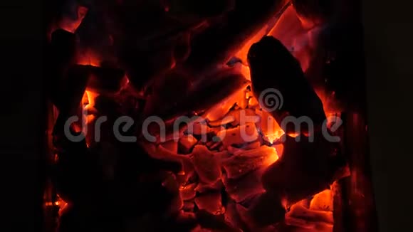 燃烧的火焰红煤在晚上烧烤架里特写视频的预览图