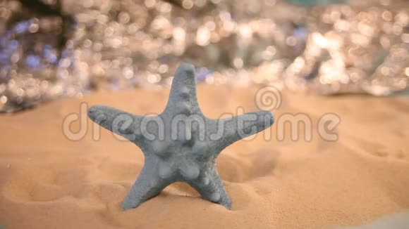 白色沙子里的蓝色海星大海从后面闪闪发光视频的预览图