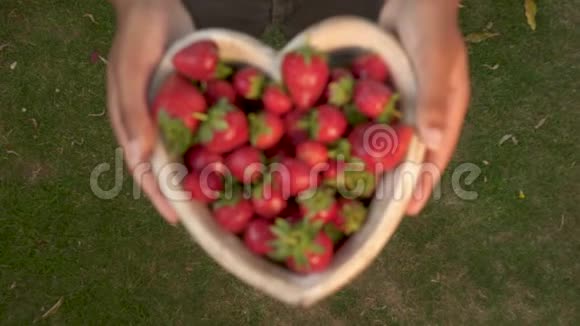 年轻女子抱着一个心形的新鲜红色草莓木碗的架子焦点视频的预览图