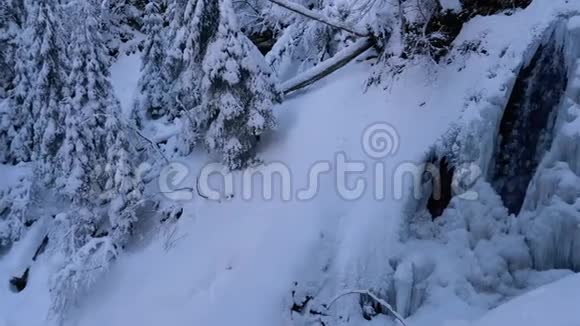 森林喀尔巴阡山冻冬瀑布谷的全景视频的预览图