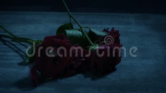 玫瑰在穆迪的黑暗中凋零行走视频的预览图