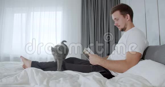 灰猫正走在床上主人正在看书4K视频的预览图