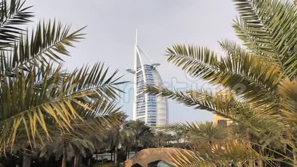 阿联酋迪拜2019年12月14日酒店在迪拜棕榈树的背景下航行视频的预览图