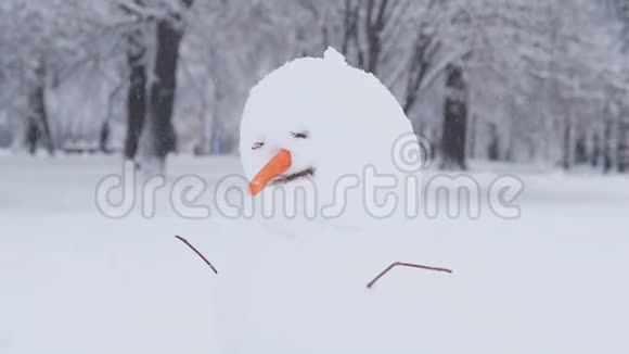 冬季雪天的雪人圣诞节假期视频的预览图