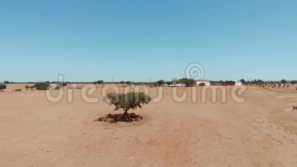 葡萄牙农村气候干旱空中观景视频的预览图