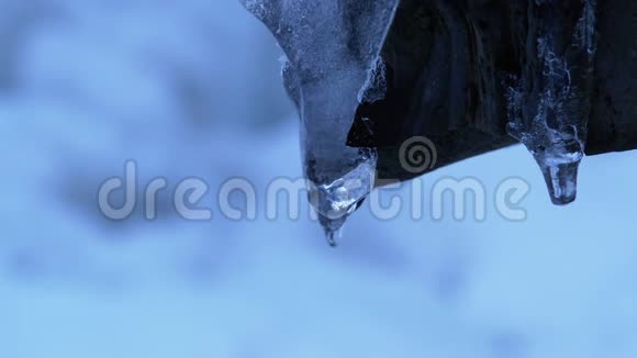 冰柱融化在冬季森林雪山景观视频的预览图
