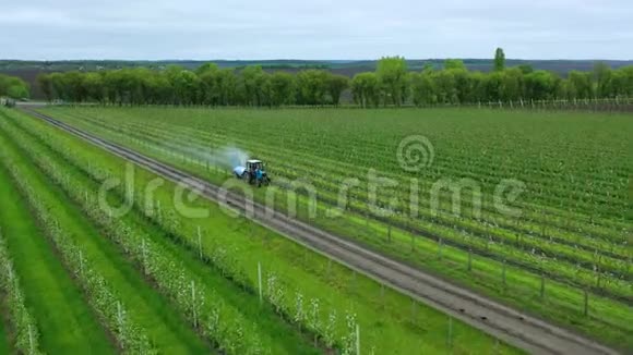 用拖拉机喷洒杀虫剂保护苹果树免遭植物病害的空中无人机射击春天视频的预览图