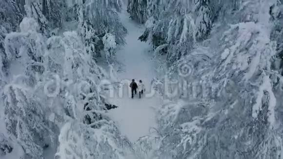 在冬季北欧森林的鸟瞰中徒步旅行的夫妇穿过深雪视频的预览图